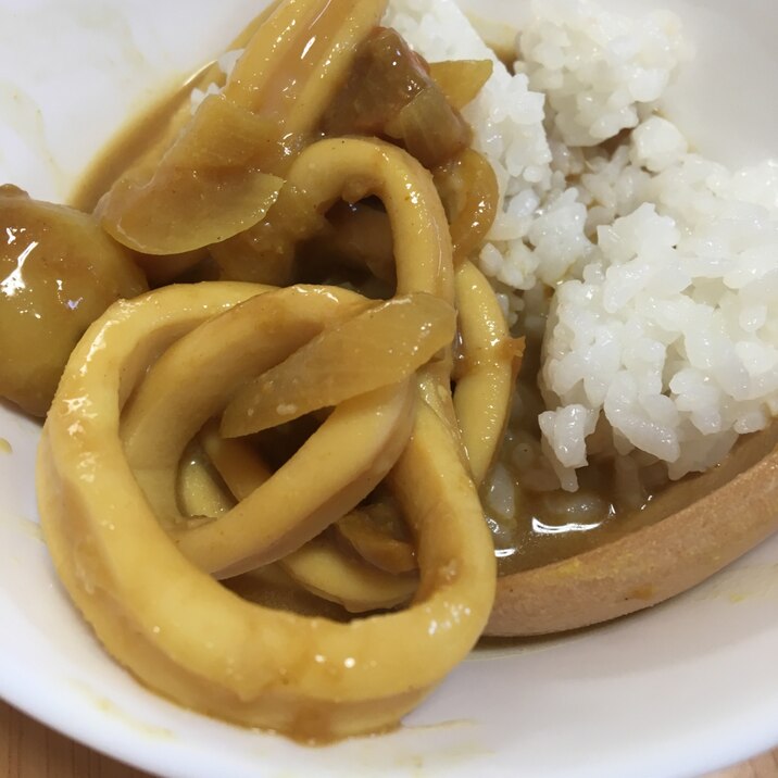 ヤリイカのぶつ切りで✨カレーライス(^^)